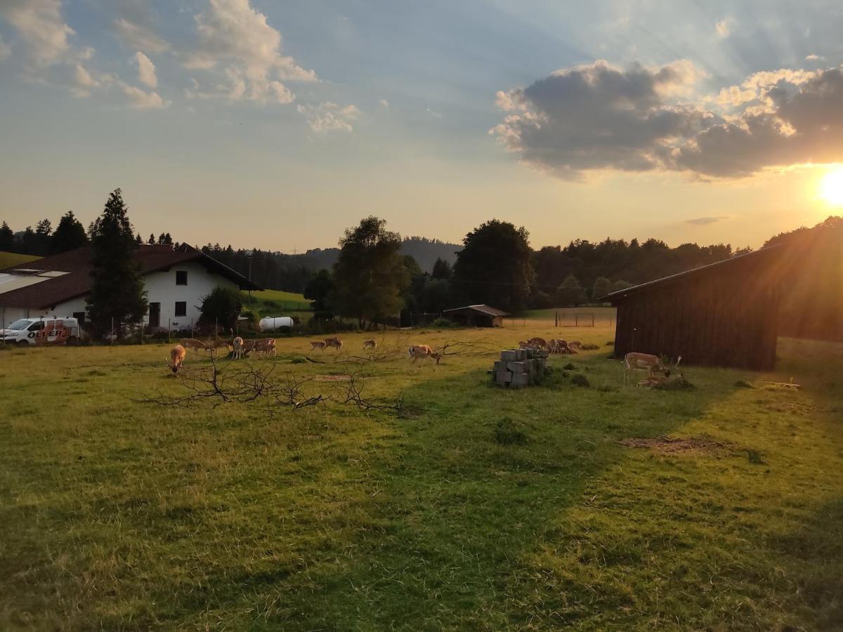 Pension Bachlhof Fursteneck Exteriér fotografie